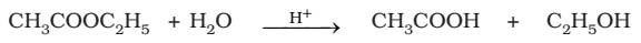 Pseudo First-Order Reaction