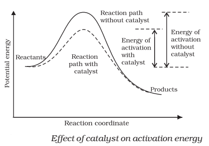 The action of the catalyst