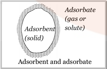 Adsorbent and adsorbate-Surface Chemistry