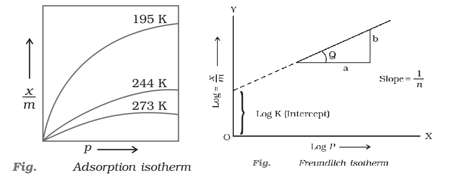 Adsorption Isotherms