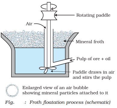 Froth floatation Process