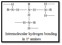 Physical Properties of Amines