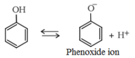 Physical properties of Phenols