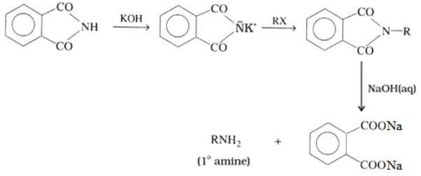 Preparation of Amines Gabriel phthalimide synthesis