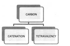 Covalent Bond in Carbon