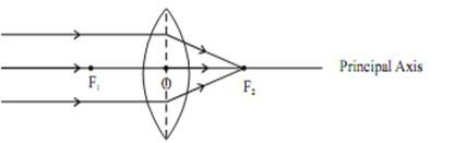 Convex lens