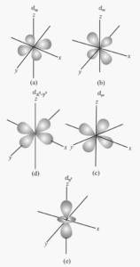 Shapes of atomic orbitals