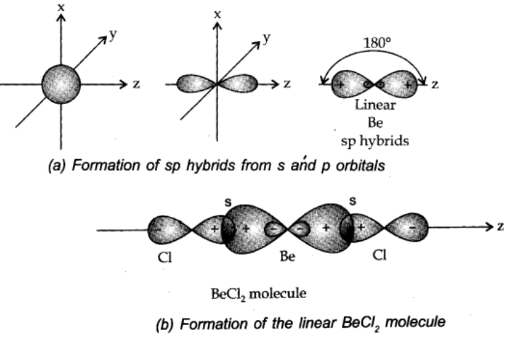 sp hybridisation