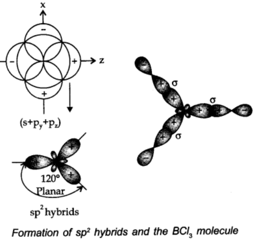 sp2 hybridisation: