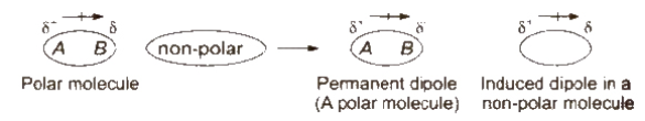 Dipole-induced dipole forces