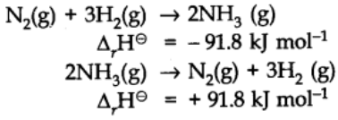Thermochemical Equation