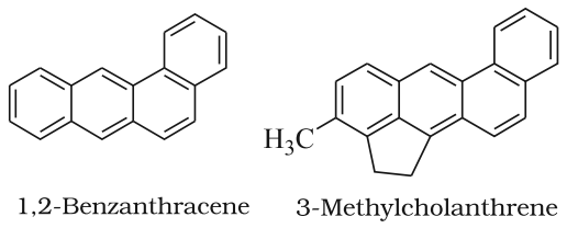 Carcinogenicity and Toxicity