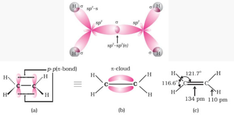 Structure of double bond (ethene)