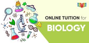 Online Biology Tuition: Where Microbes Join the Fun at Ziyyara